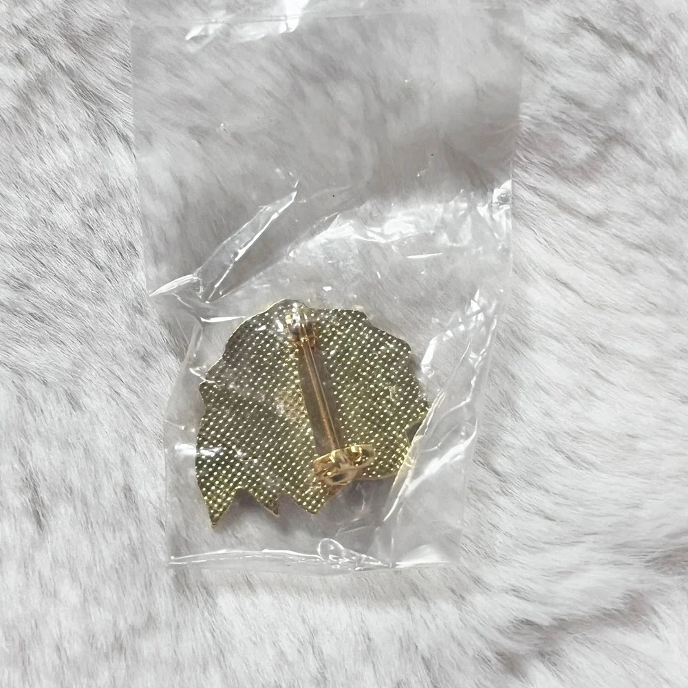 🔮 5/$25 Vintage‎ NHL Chicago Blackhawks Hockey Pin